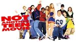No es otra estúpida película americana (2001) Streaming comp